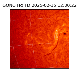 gong - 2025-02-15T12:00:22