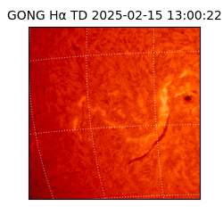 gong - 2025-02-15T13:00:22