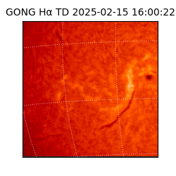 gong - 2025-02-15T16:00:22