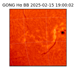 gong - 2025-02-15T19:00:02