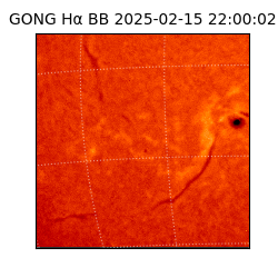 gong - 2025-02-15T22:00:02
