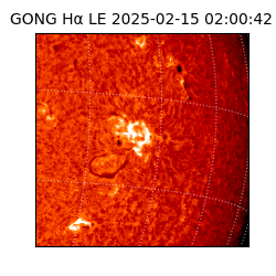 gong - 2025-02-15T02:00:42