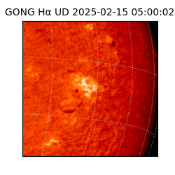 gong - 2025-02-15T05:00:02