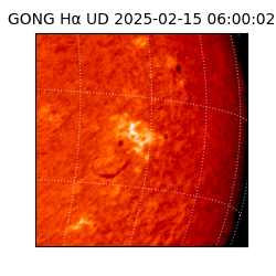 gong - 2025-02-15T06:00:02