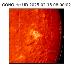 gong - 2025-02-15T08:00:02