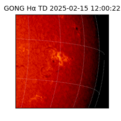 gong - 2025-02-15T12:00:22