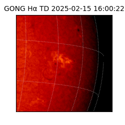 gong - 2025-02-15T16:00:22