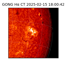 gong - 2025-02-15T18:00:42