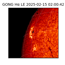 gong - 2025-02-15T02:00:42