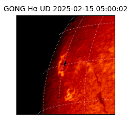 gong - 2025-02-15T05:00:02