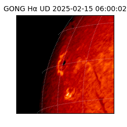 gong - 2025-02-15T06:00:02