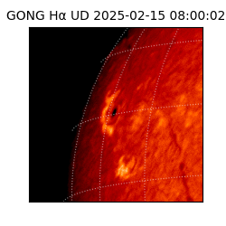 gong - 2025-02-15T08:00:02