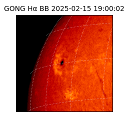 gong - 2025-02-15T19:00:02