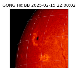 gong - 2025-02-15T22:00:02