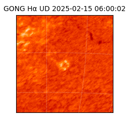 gong - 2025-02-15T06:00:02