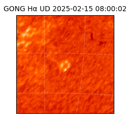 gong - 2025-02-15T08:00:02
