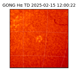 gong - 2025-02-15T12:00:22
