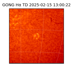 gong - 2025-02-15T13:00:22
