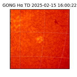 gong - 2025-02-15T16:00:22
