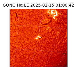 gong - 2025-02-15T01:00:42