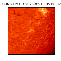 gong - 2025-02-15T05:00:02