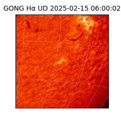 gong - 2025-02-15T06:00:02