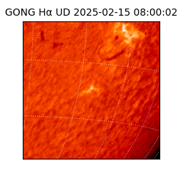 gong - 2025-02-15T08:00:02