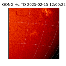 gong - 2025-02-15T12:00:22