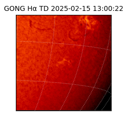 gong - 2025-02-15T13:00:22