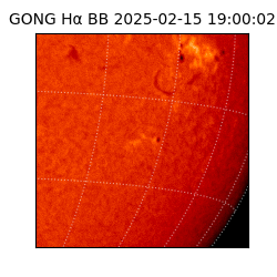 gong - 2025-02-15T19:00:02
