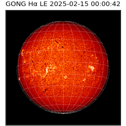 gong - 2025-02-15T00:00:42