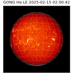 gong - 2025-02-15T02:00:42