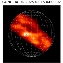 gong - 2025-02-15T04:00:02