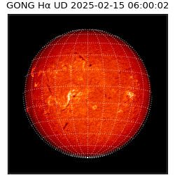 gong - 2025-02-15T06:00:02