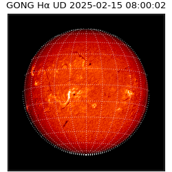 gong - 2025-02-15T08:00:02
