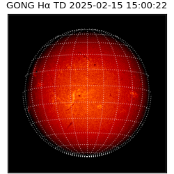 gong - 2025-02-15T15:00:22