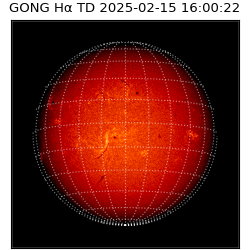 gong - 2025-02-15T16:00:22