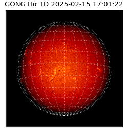 gong - 2025-02-15T17:01:22