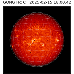 gong - 2025-02-15T18:00:42
