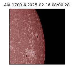 saia - 2025-02-16T08:00:28.720000