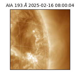 saia - 2025-02-16T08:00:04.843000
