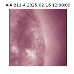 saia - 2025-02-16T12:00:09.632000