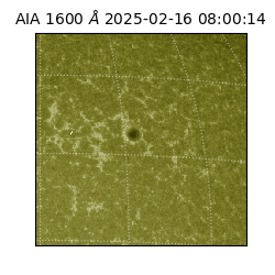 saia - 2025-02-16T08:00:14.125000