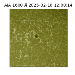 saia - 2025-02-16T12:00:14.126000
