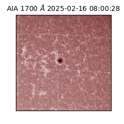 saia - 2025-02-16T08:00:28.720000