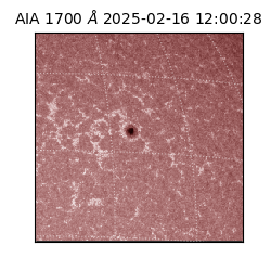 saia - 2025-02-16T12:00:28.720000