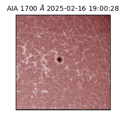 saia - 2025-02-16T19:00:28.720000