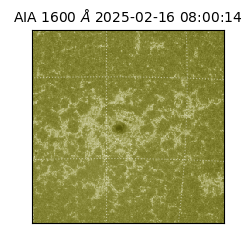 saia - 2025-02-16T08:00:14.125000