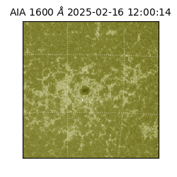 saia - 2025-02-16T12:00:14.126000