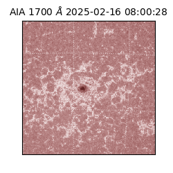saia - 2025-02-16T08:00:28.720000